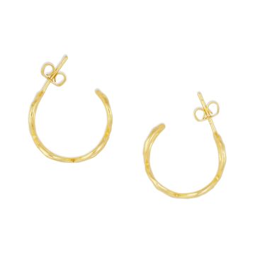 Elegant golden earrings